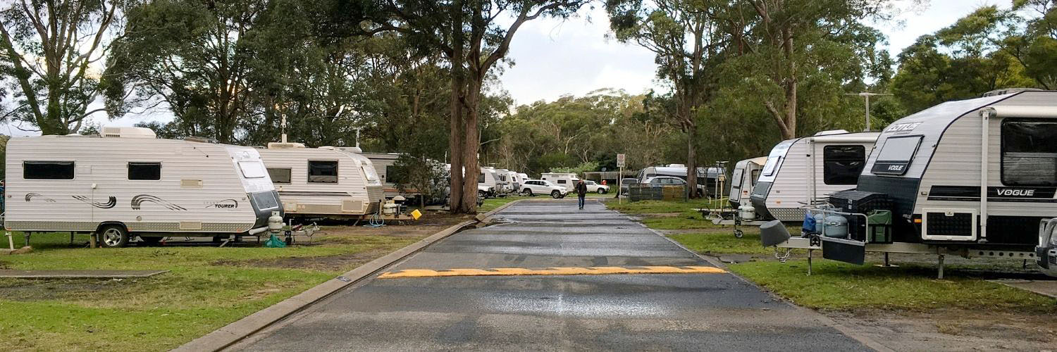 Caravans parked at Lane Cove River Tourist Park. Credit: DPIE / Claire Franklin