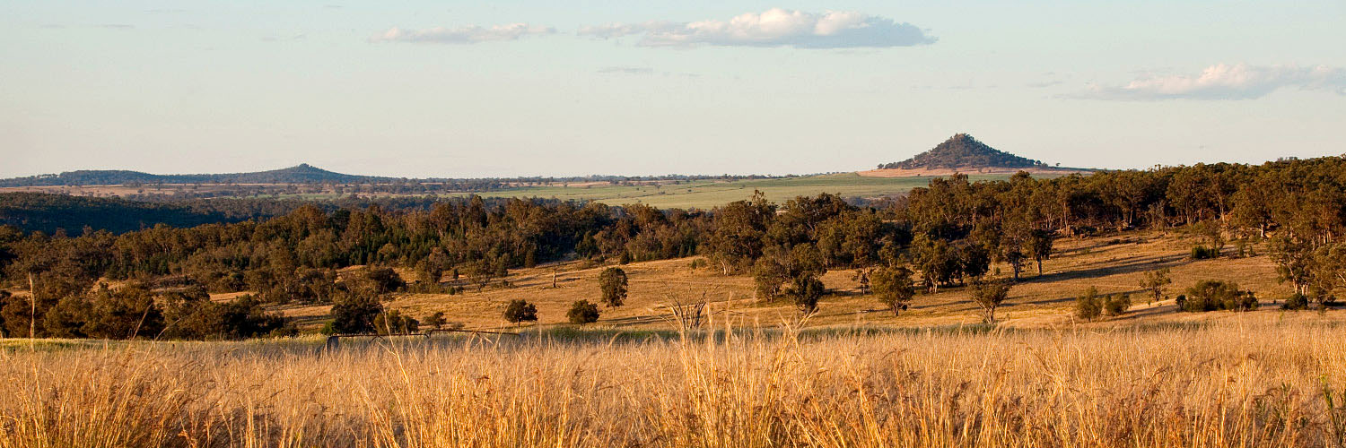 Landscape outside of Warialda, NSW. Credit: NSW Department of Planning and Environment / Neil Fenelon