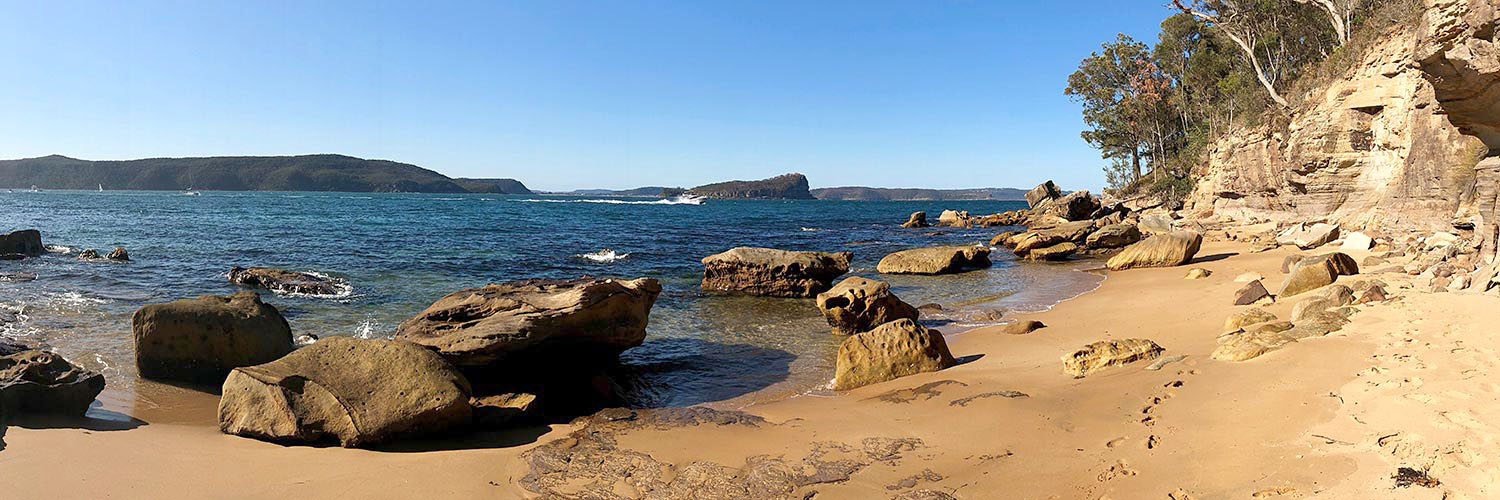 Flannel Flower Beach. Credit: NSW Department of Planning and Environment / James Still