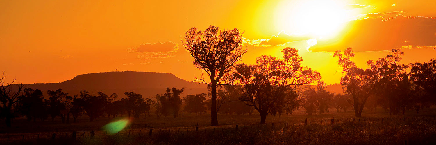 Oxley Highway at sunset. Liverpool Plains, NSW. Credit: NSW Department of Planning and Environment / Neil Fenelon