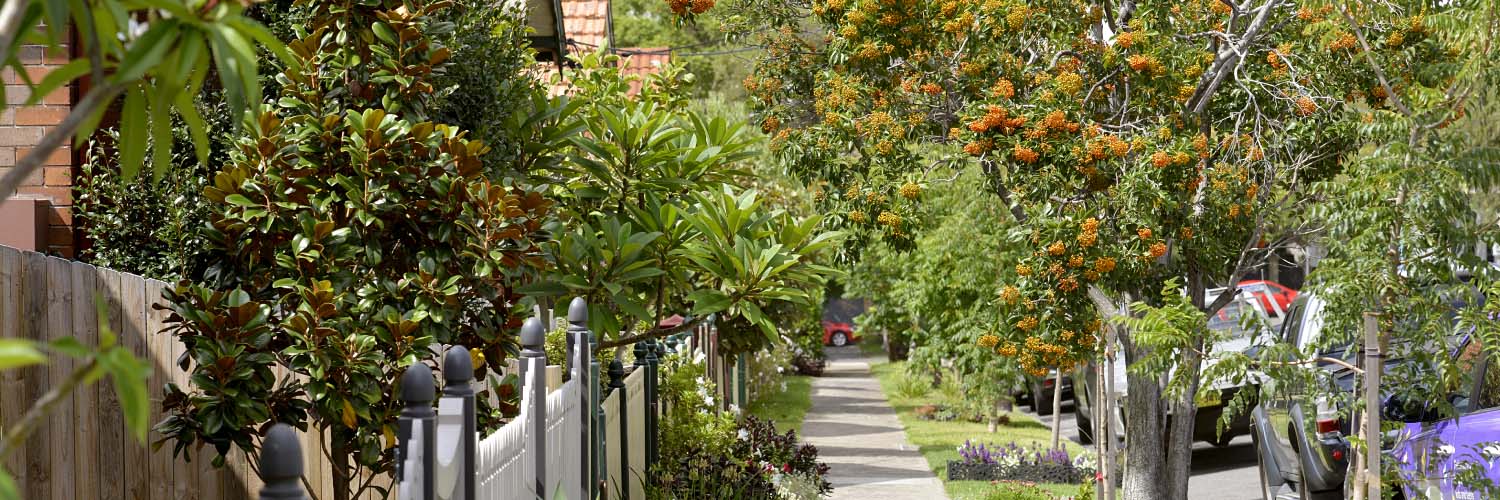 Footpath and fences on a residential street.