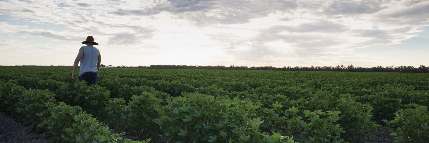 A farmer in a cotton field before cotton crop, Gwydir Highway near Collarenebri, NSW. Credit: NSW Department of Planning and Environment / Quentin Jones