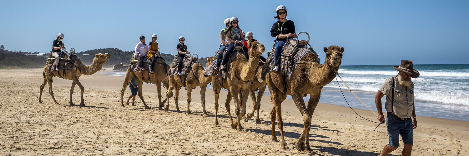 Visitors enjoying a camel experience with Port Macquarie Camel Safaris on Lighthouse Beach, Port Macquarie. Credit: Destination North Coast