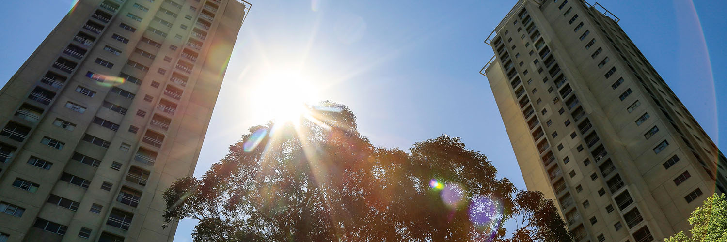 Waterloo estate towers in Redfern, Sydney CBD NSW. Credit: NSW Department of Planning and Environment / Salty Dingo