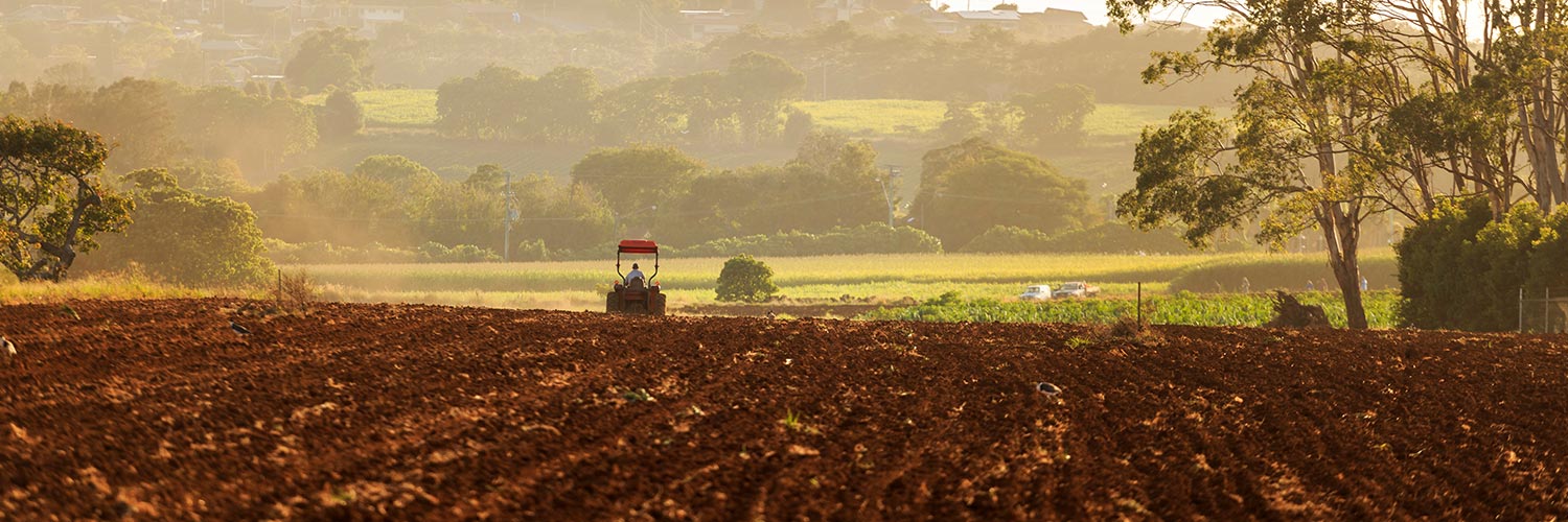 Farmer on his tractor in Cudgen in the Northern Rivers region of NSW. Credit: Ryan Fowler; Destination Tweed