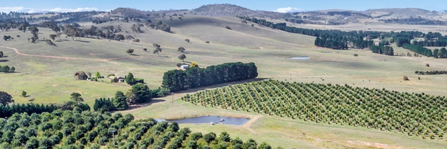 Aerial view of Tarago Truffles, NSW.