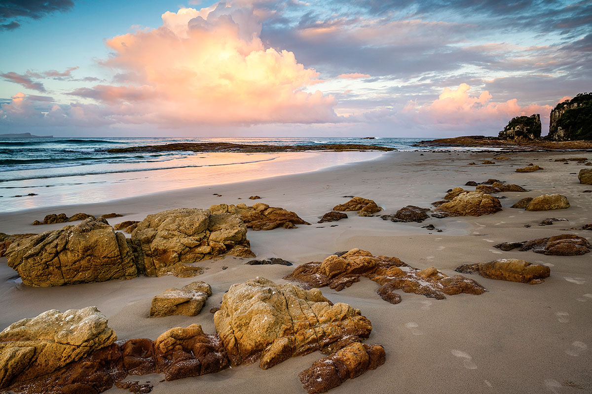 Beach in Crowdy Bay National Park. Crowdy Head near Taree, NSW. Credit: NSW Department of Planning and Environment / Jaime Plaza Van Roon