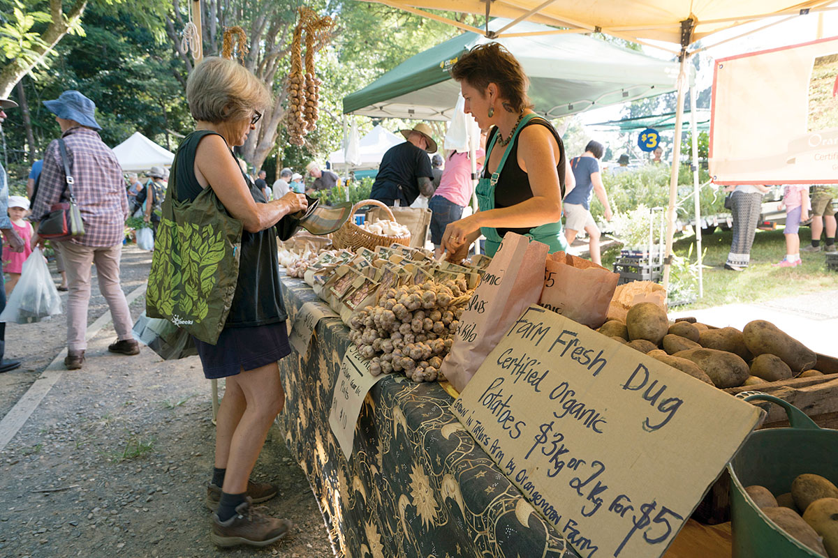 Bellingen's Spring and Autumn Plant Fairs. Bellingen, NSW. Credit: NSW Department of Planning and Environment / Jaime Plaza Van Roon