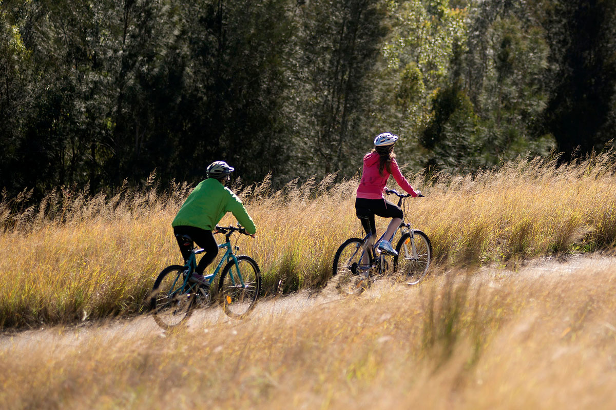 Cyclists in Millennium Parklands. Wentworth Point, NSW. Credit: NSW Department of Planning and Environment / Don Fuchs