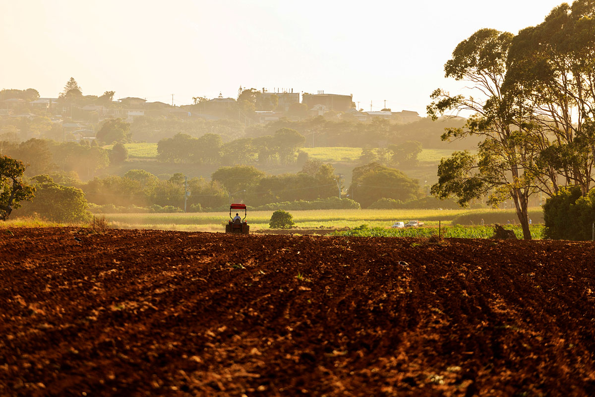 Farmer on his tractor in Cudgen in the Northern Rivers region of NSW. Credit: Ryan Fowler; Destination Tweed