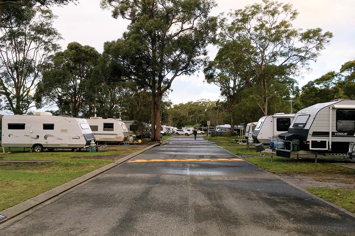 Caravans parked at Lane Cove River Tourist Park. Credit: DPIE / Claire Franklin