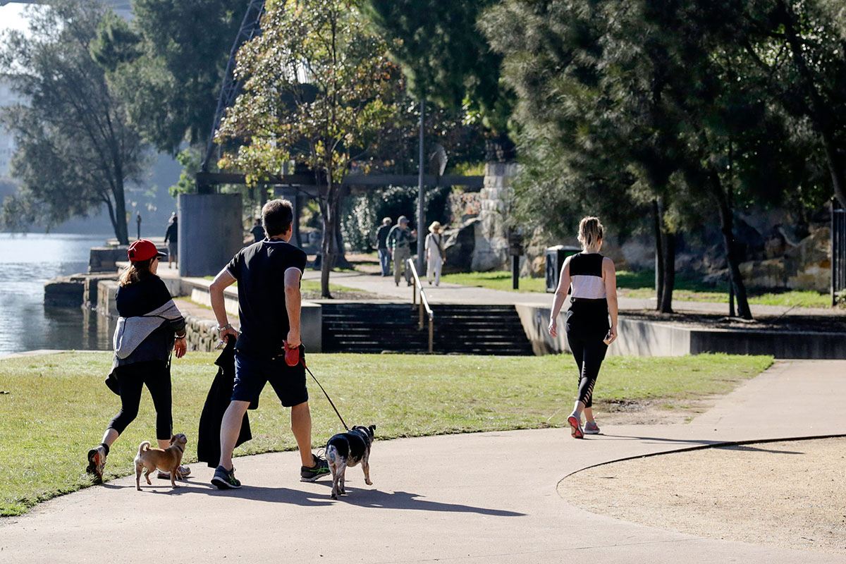 Walking along Blackwattle Bay Park, Glebe, Sydney. Credit: NSW Department of Planning and Environment / Salty Dingo