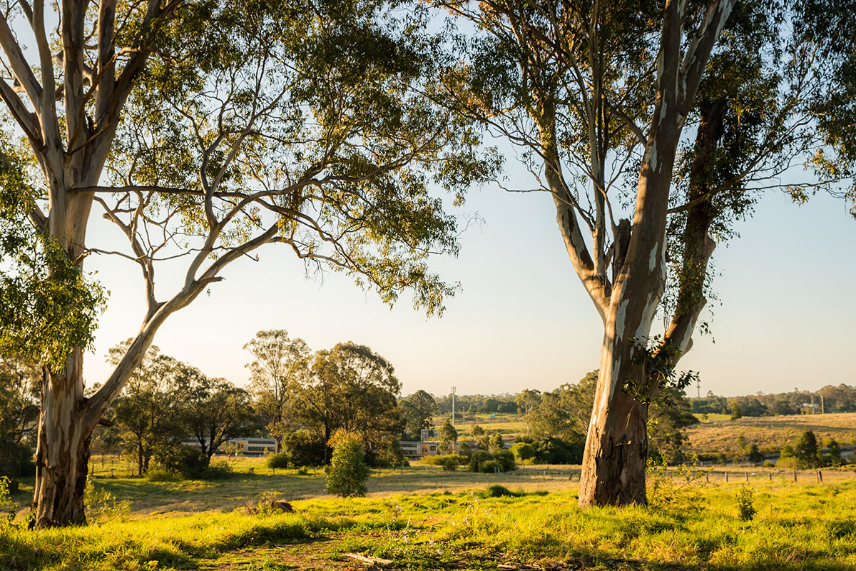 Vista of Leppington