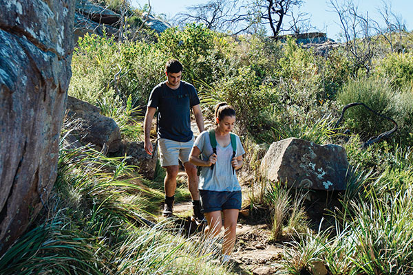 Couple bushwalking down a track