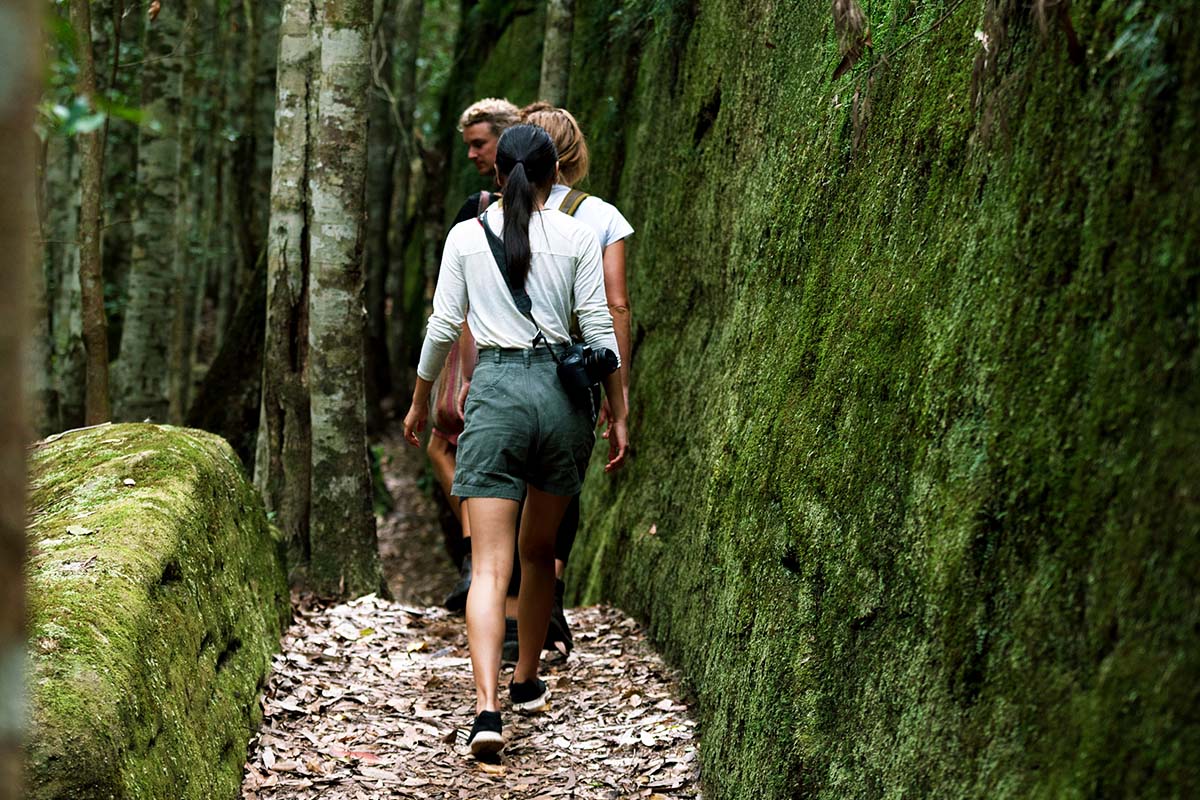 Friends enjoying a walk through Watagans National Park near Lake Macquarie. Credit: Destination NSW