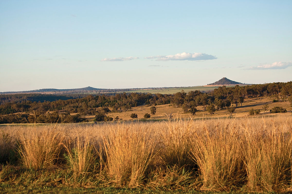 Landscape outside of Warialda, NSW. Credit: NSW Department of Planning and Environment / Neil Fenelon