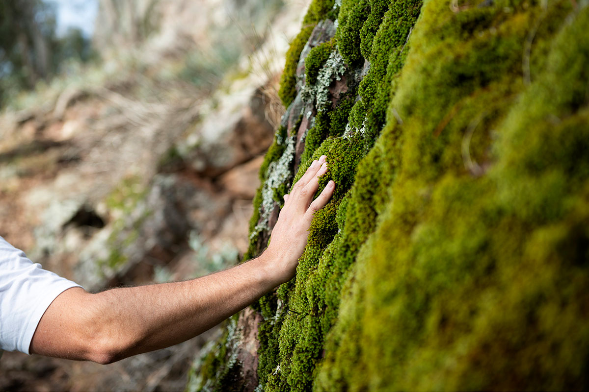 Moss covered rocks at The Rock Nature Reserve - Kengal Aboriginal Place, located between the town of Lockhart and the city of Wagga Wagga. Credit: Destination NSW