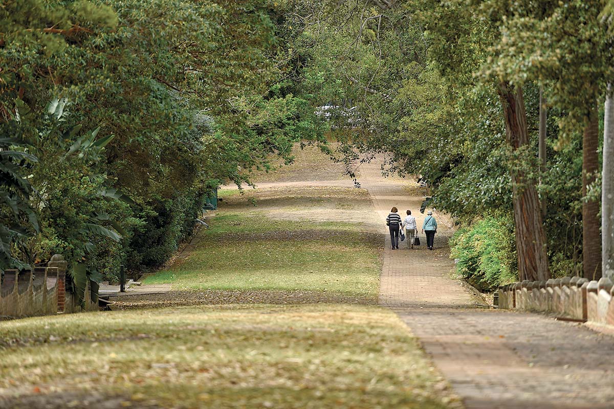 Graveyard. St Thomas Rest Park off West St, St Leonards, North Sydney, NSW. Credit: NSW Department of Planning and Environment / Adam Hollingworth