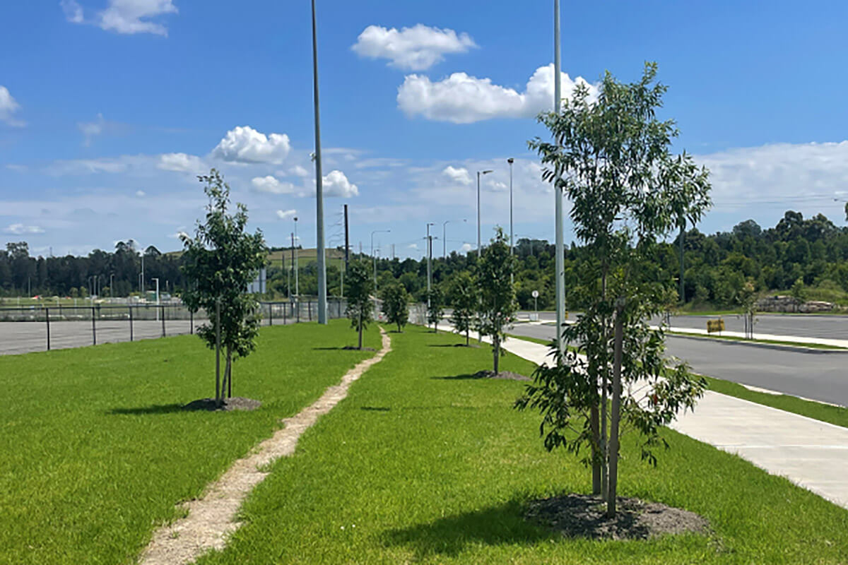 2020 Greening our city banner