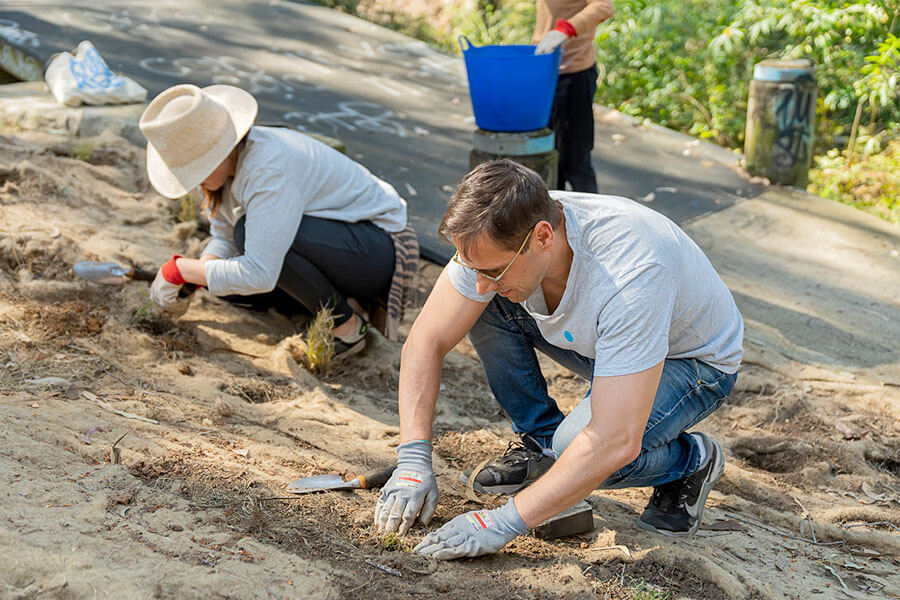 People getting involved in a community bushcare program. Credit: The Enchanted Trove