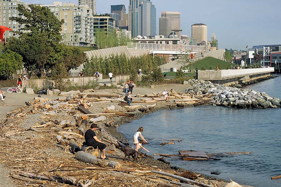 Multifunctionality: The restored beachfront provides space for recreation and has also improved fish habitat in the harbour. Credit: Paul Worchol