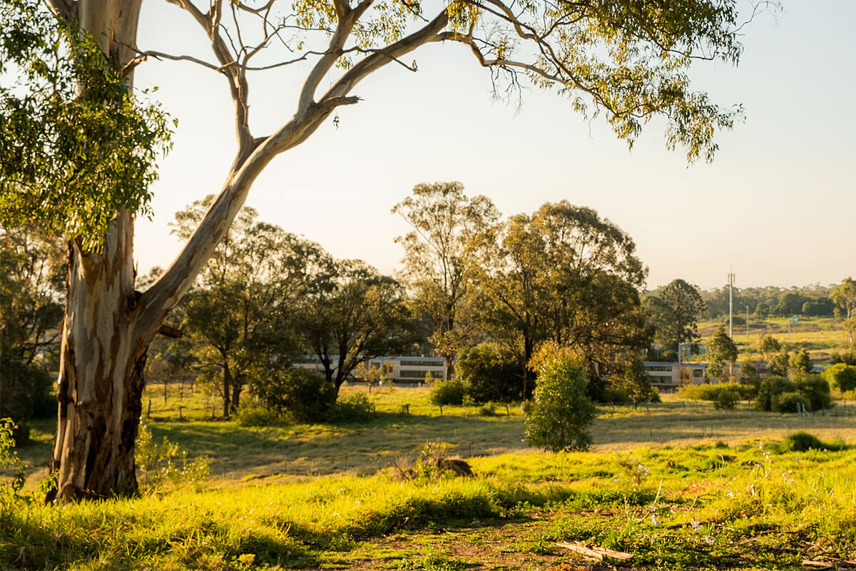 Leppington Park will sit along Camden Valley Way on the western end of the bushland opposite Forest Lawn Memorial Park. Credit: NSW Department of Planning and Environment