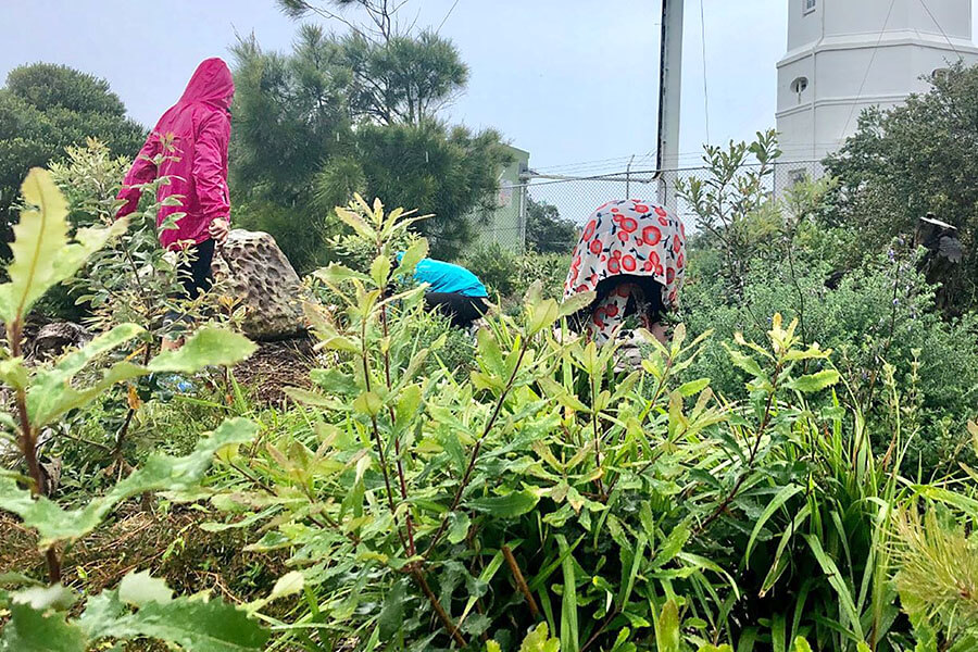 People gardening in a backyard garden with a wide range of plants. Credit: Barbara Schaffer