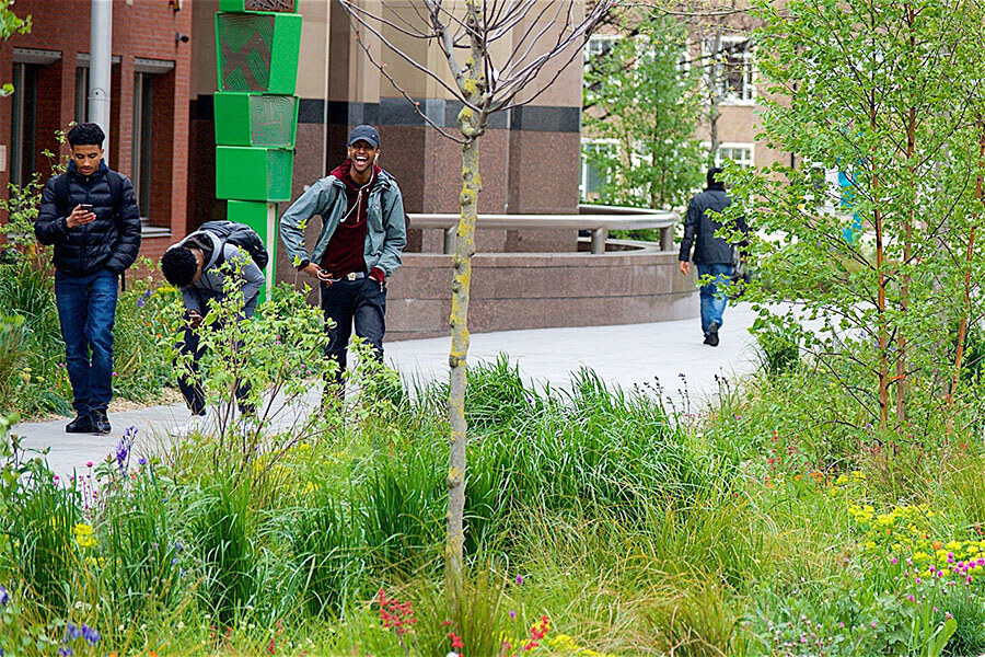 Group of people walking along a path in between gardens. Credit: Nigel Dunnett