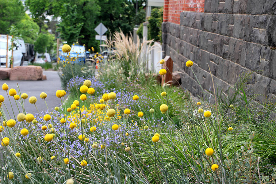 An example of schools and biodiversity in place. Credit: City of Melbourne