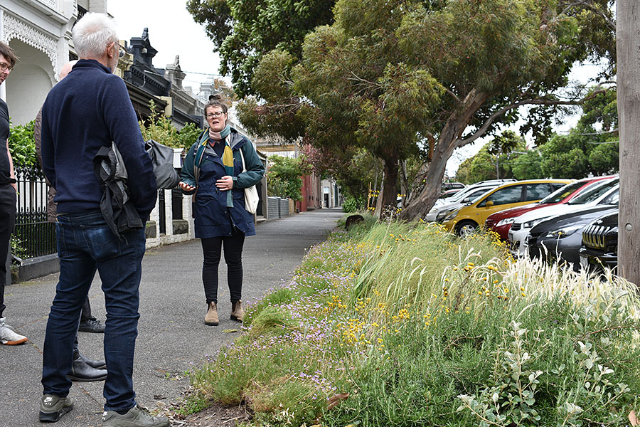 Street verges example of biodiversity in place. Credit: Jon Hazelwood
