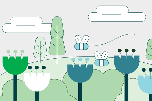 Illustration of landscape design. Credit: Felix Saw
