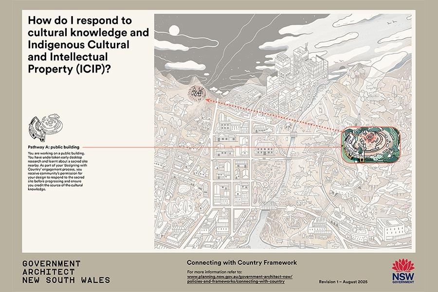 How do I respond to cultural knowledge and Indigenous Cultural and Intellectual Property (ICIP)?