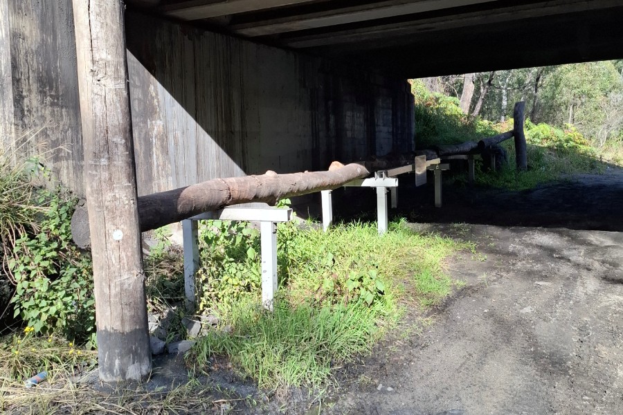 Tunnel under a koala corridor