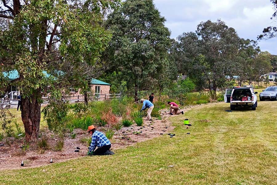 Council planted locally endemic trees and large shrubs across Tahmoor Park, Dudley Chesham Oval, and the Yallambi Street vegetated drainage line. Credit: Wollondilly Shire Council