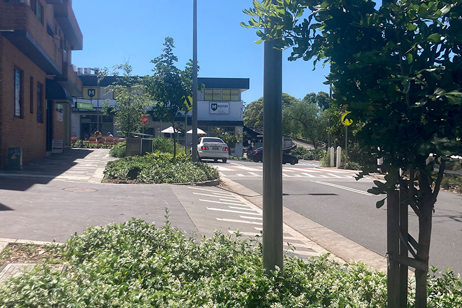 St Johns Avenue Precinct in Gordon transforms into a vibrant urban forest. Credit: Ku-ring-gai Council