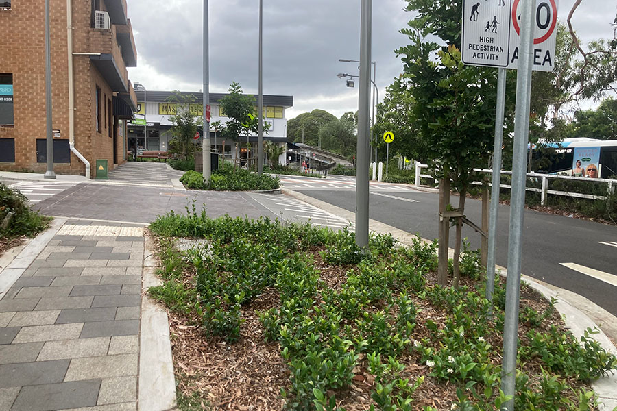 St Johns Avenue Precinct in Gordon transforms into a vibrant urban forest. Credit: Ku-ring-gai Council