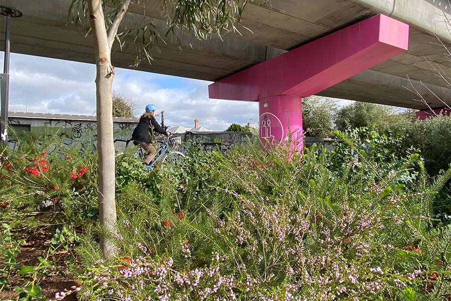 Woody meadows are part of Melbourne's Level Crossing Removal Project. Credit: University of Melbourne