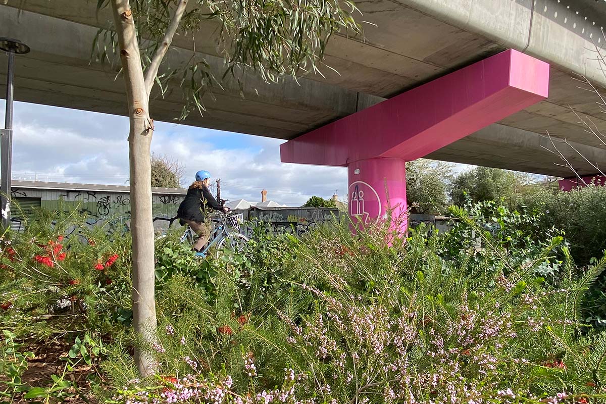 Woody meadows are part of Melbourne's Level Crossing Removal Project. Credit: University of Melbourne