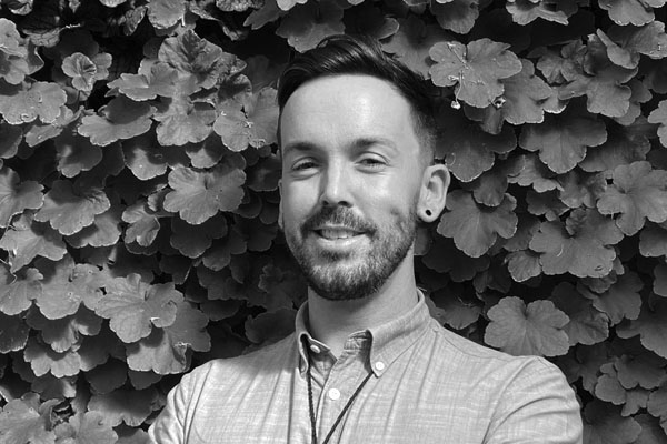 Terrence Stapleton, NSW SDRP Panel Member