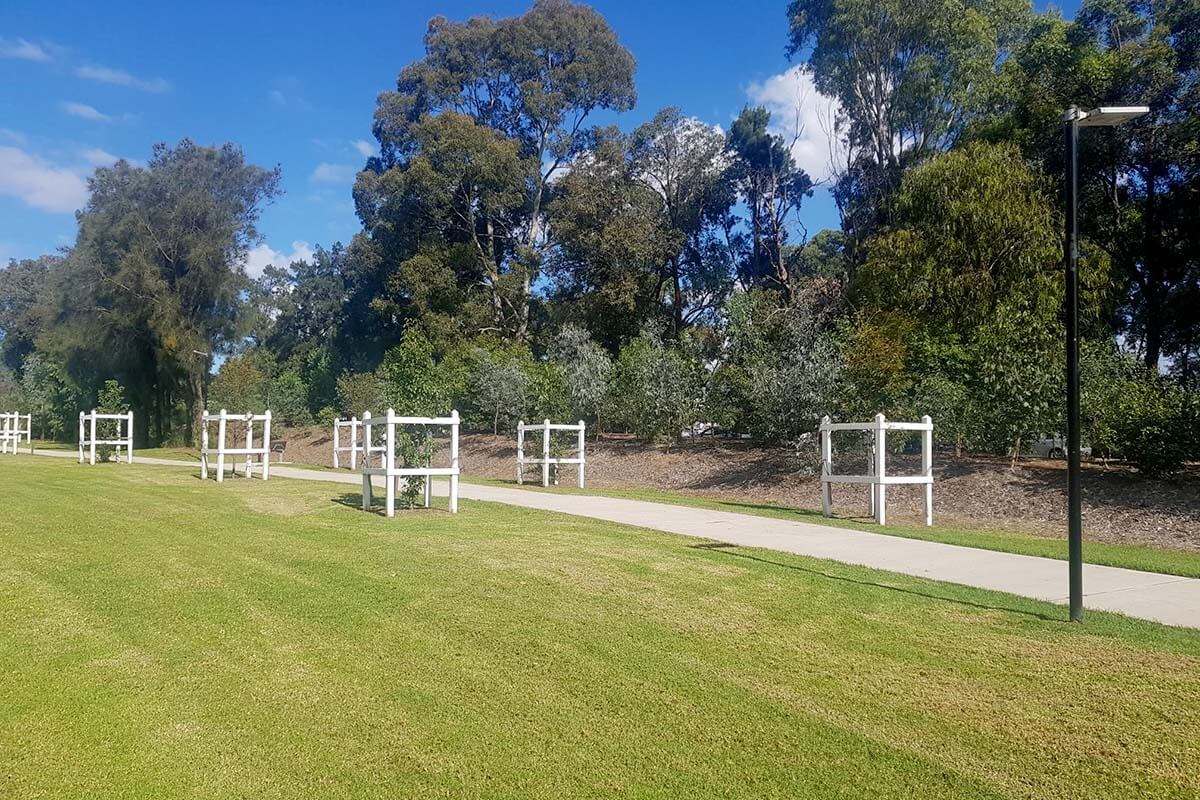 Tree planting as part of the Hudson Park Tree Canopy Project contributing to urban greening.